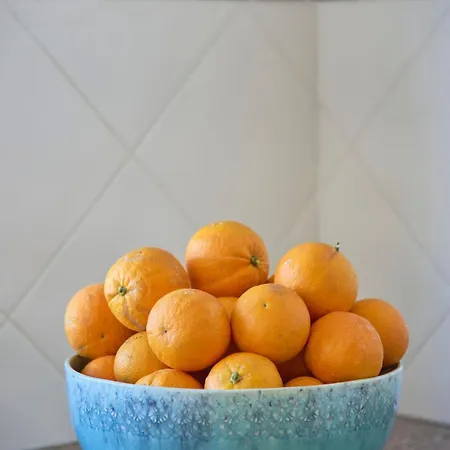 Vieira House With Sea View 아파트 *