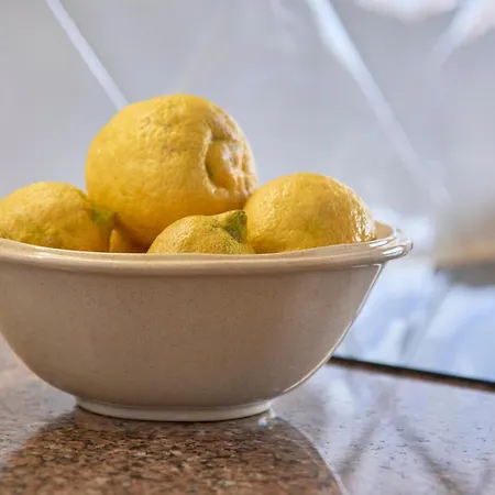 Vieira House With Sea View 아파트