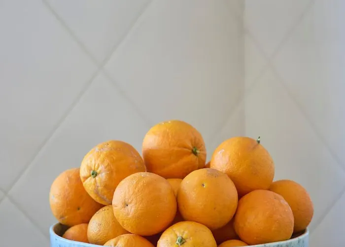 Vieira House With Sea View Appartamento *